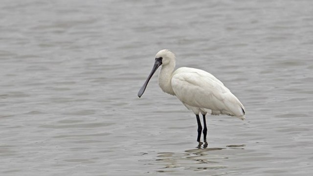 How To Be Rejected By The Article Directories