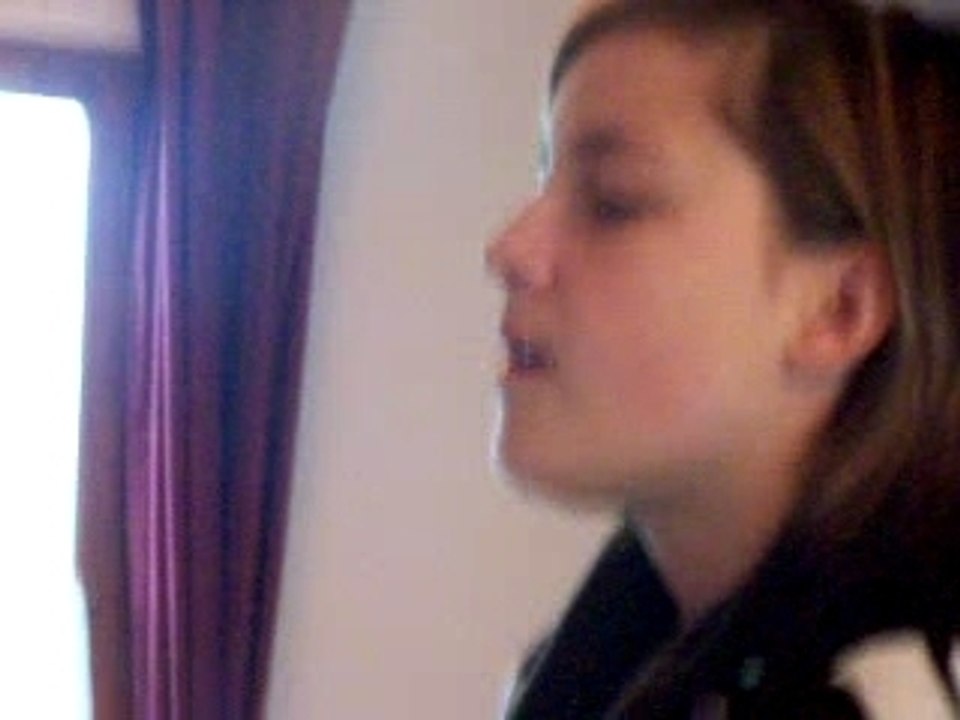 le roi soleil essais