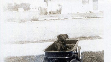 The 12 Things All New Internet Marketers Should Know