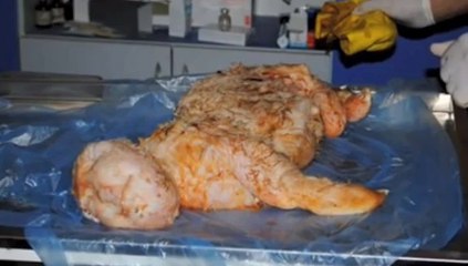 Sheep gives birth to lamb with a  human face Urdu Book