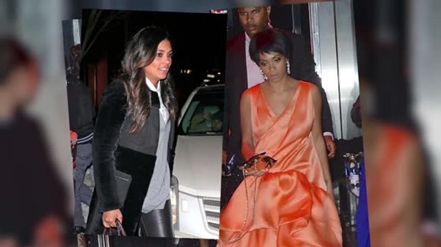 Solange Knowles Fought With Rachel Roy Prior to Attack