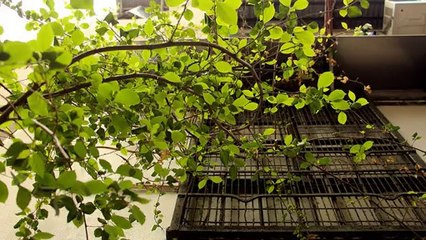 I Do Not Know What To Write!