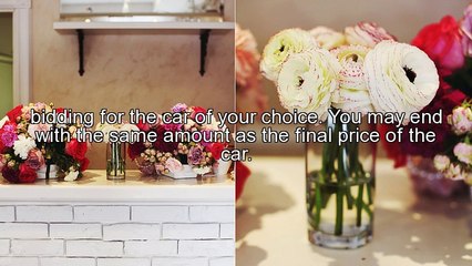 Find a deal at the car auction