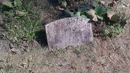 Google Analytics: What Is It?