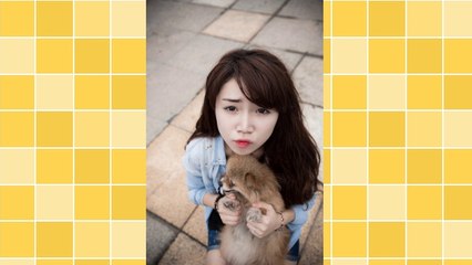 Pop Windows in Internet Marketing: