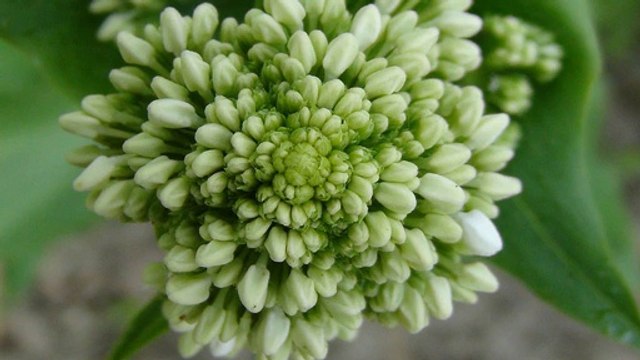 Are Autoresponders really that important to internet marketing?