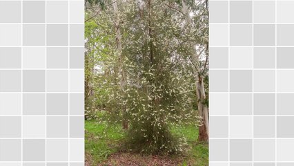 PHP , Internet Business Marketing , & Good Web Content Go Hand In Hand