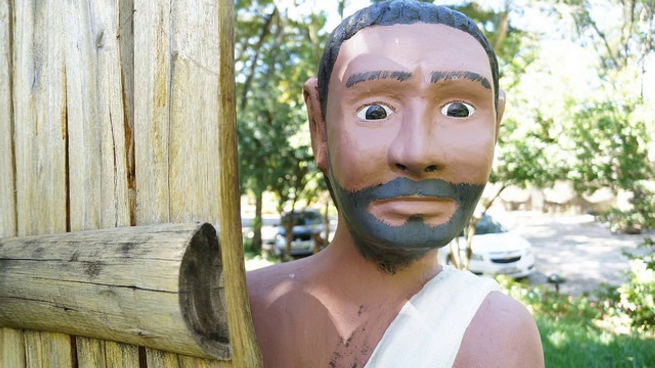 How to get a Website Indexed Fast