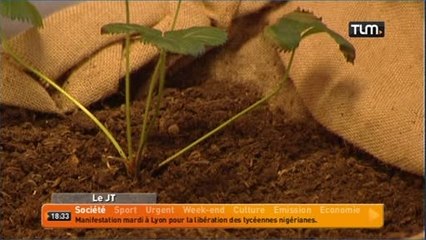 Savez-vous planter des choux... sur la toile?