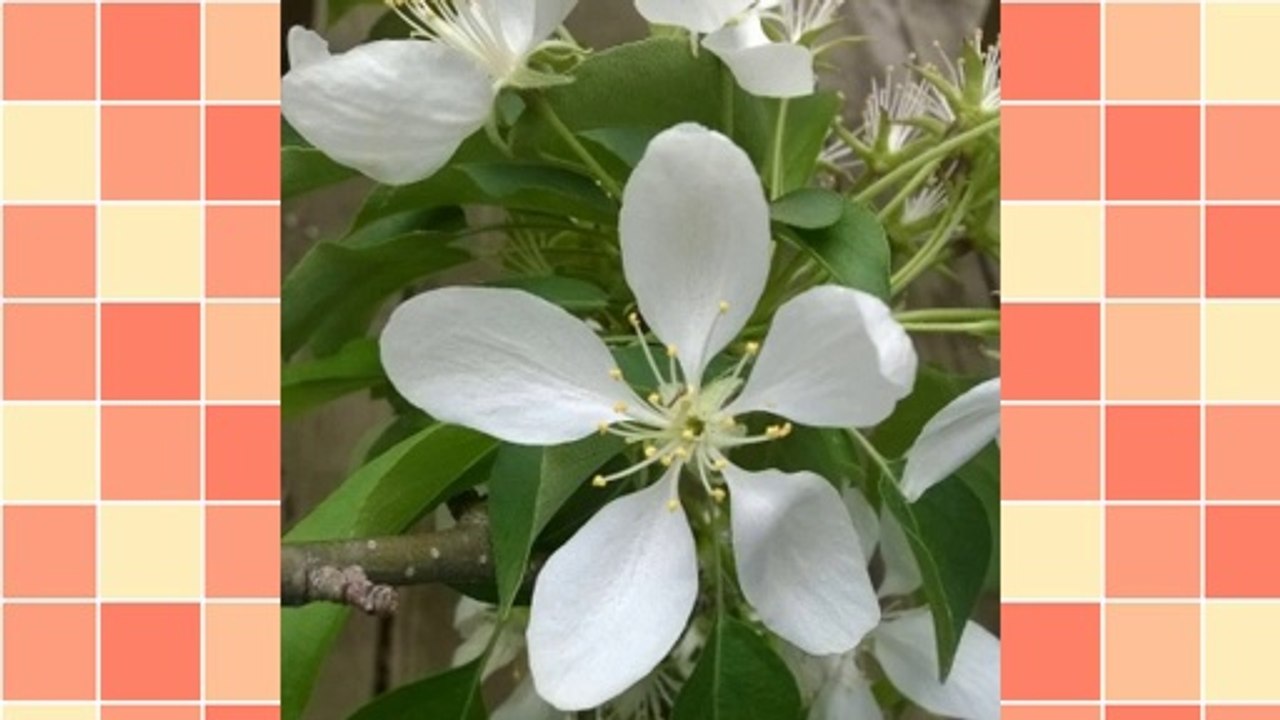 Submitting articles to Article Directories