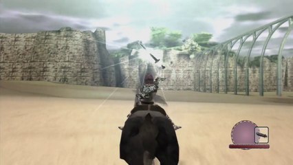 11) Shadow of the Colossus : Celosia