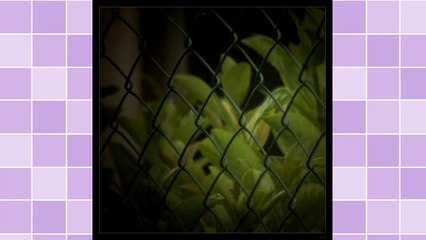 Build Interest With Autoresponder Messages