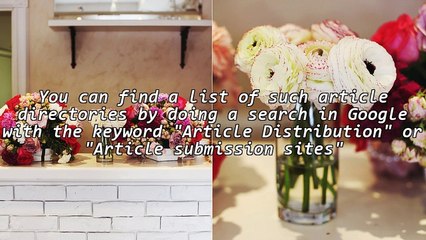 Watch your sales soar with Article Distribution