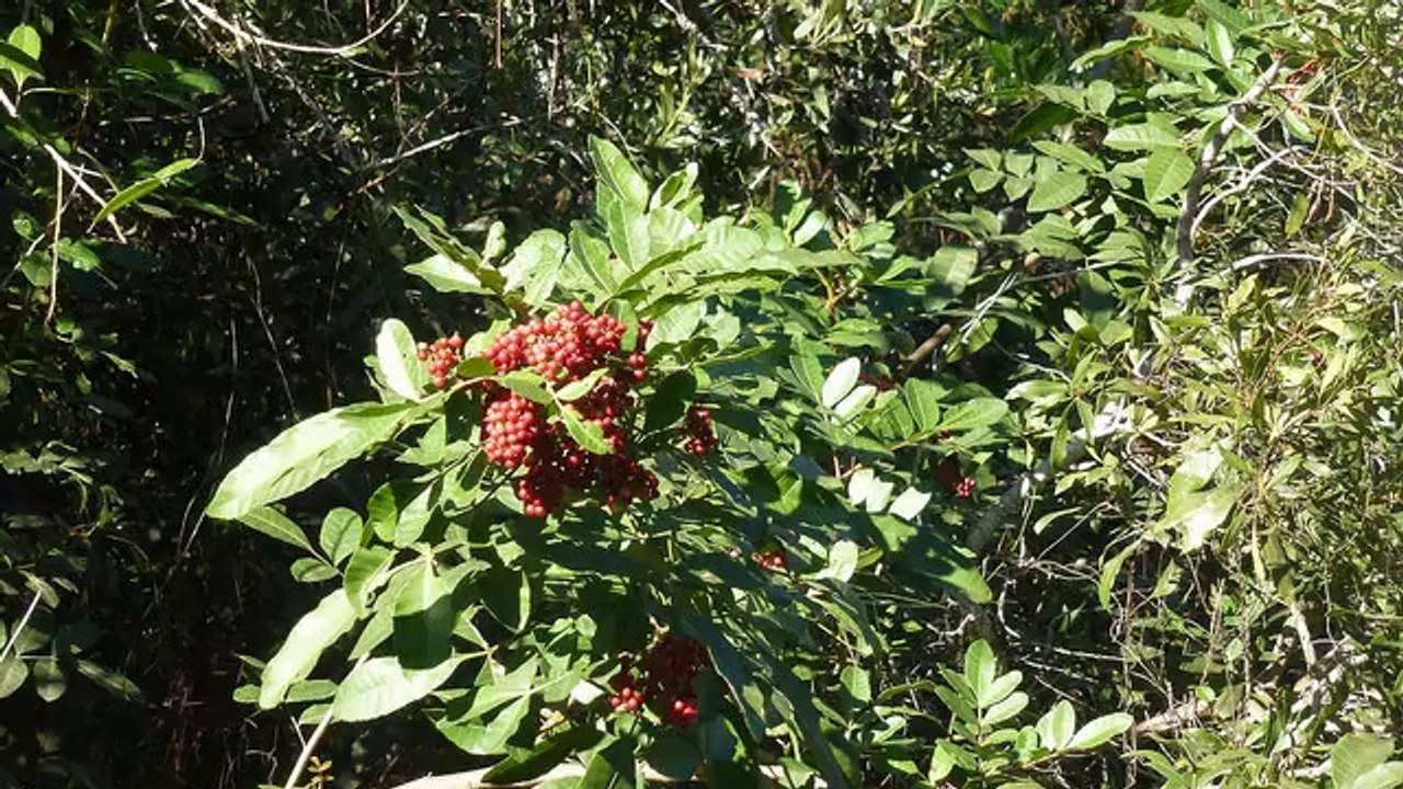 To The Affiliate Marketer Using An Ad Tracker Is Key