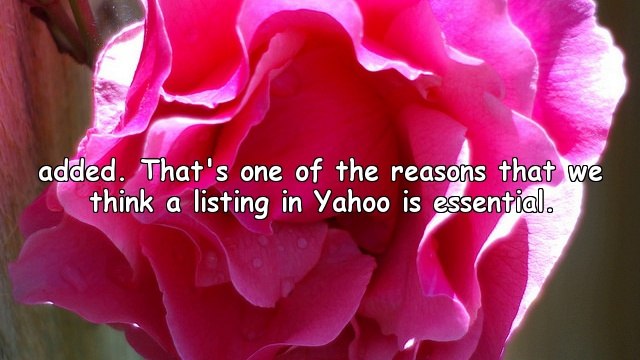 Link Popularity and Search Engines