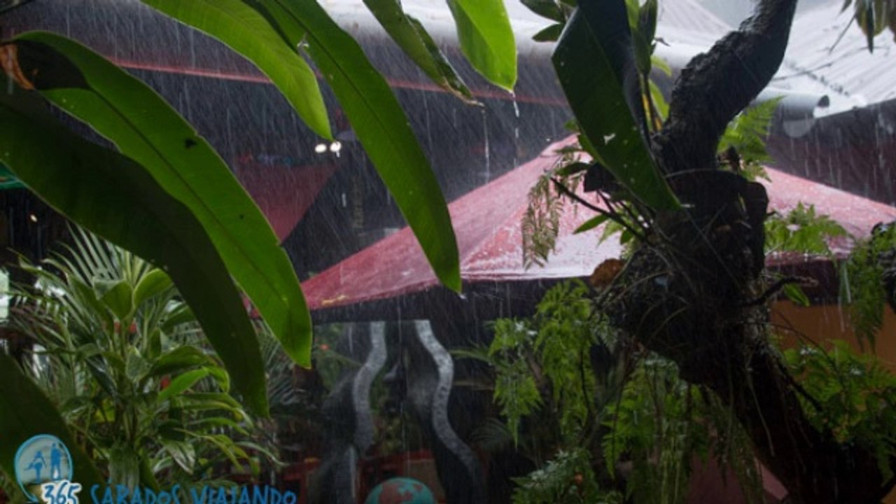 The Importance of Relevant Keywords