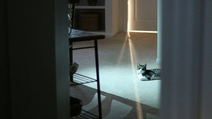 Turn Your Ebay About Me Page Into A Cash Cow.