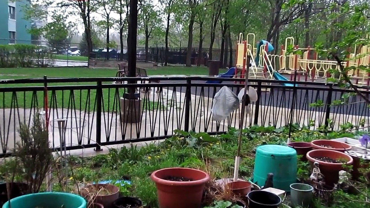 I have filmed some rain for your viewing pleasure on May 13, 2014 when the clouds got dark as hell and opened up slowly