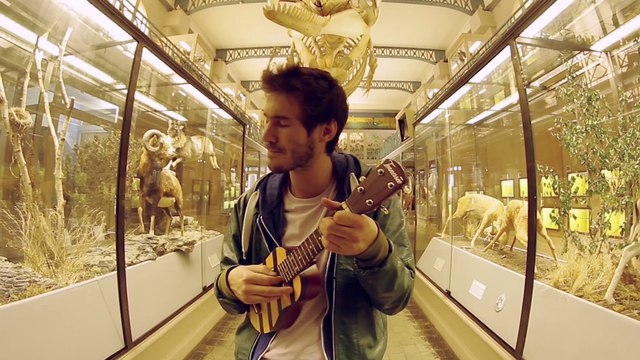 dELBi Daydreaming en acoustique au musée d'histoire naturelle de Lille 2011