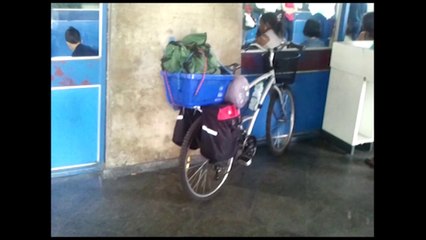 Jornada Curitiba - Três Coroas (RS)