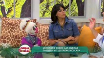 Lorena y Nicolasa: ¿cómo eliminar las ojeras de manera natural?