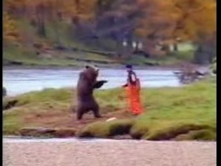 L'ours, le pecheur et le saumon