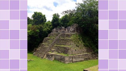 Google Proof Your Business From Updates