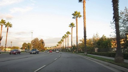 Women Handbags, What Does It Say About Your Personality!