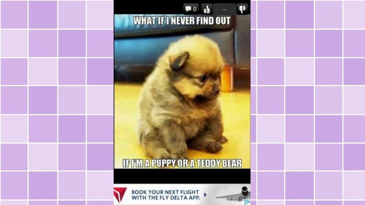 eBay Express Offers Exciting New Selling Options