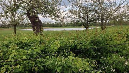 SEO In India Completely Cost-Effective For Website