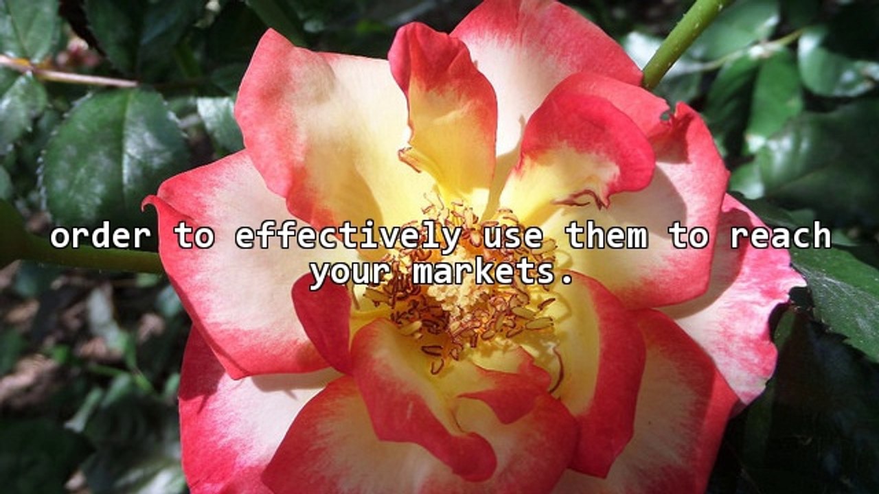 Six Marketing Strategies In Web 2.0 World