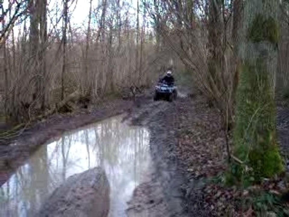tgb 250 le
