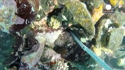 ¿Se han encontrado los restos de la Santa María?