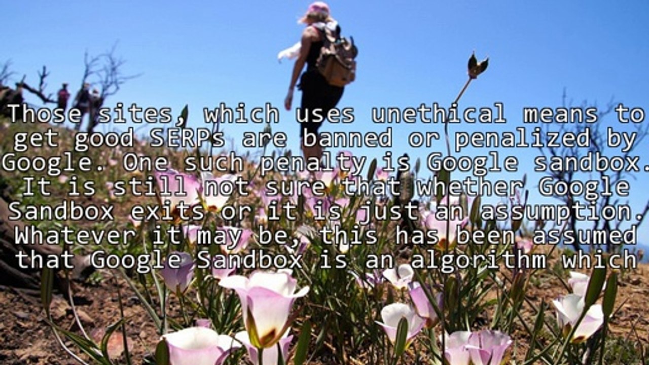 Google Updates And Sandbox