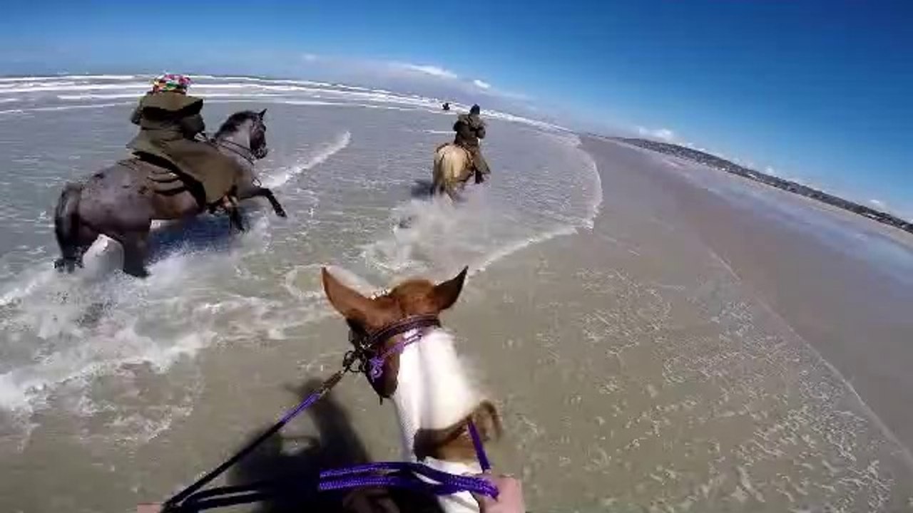 Ride on the beach! :)