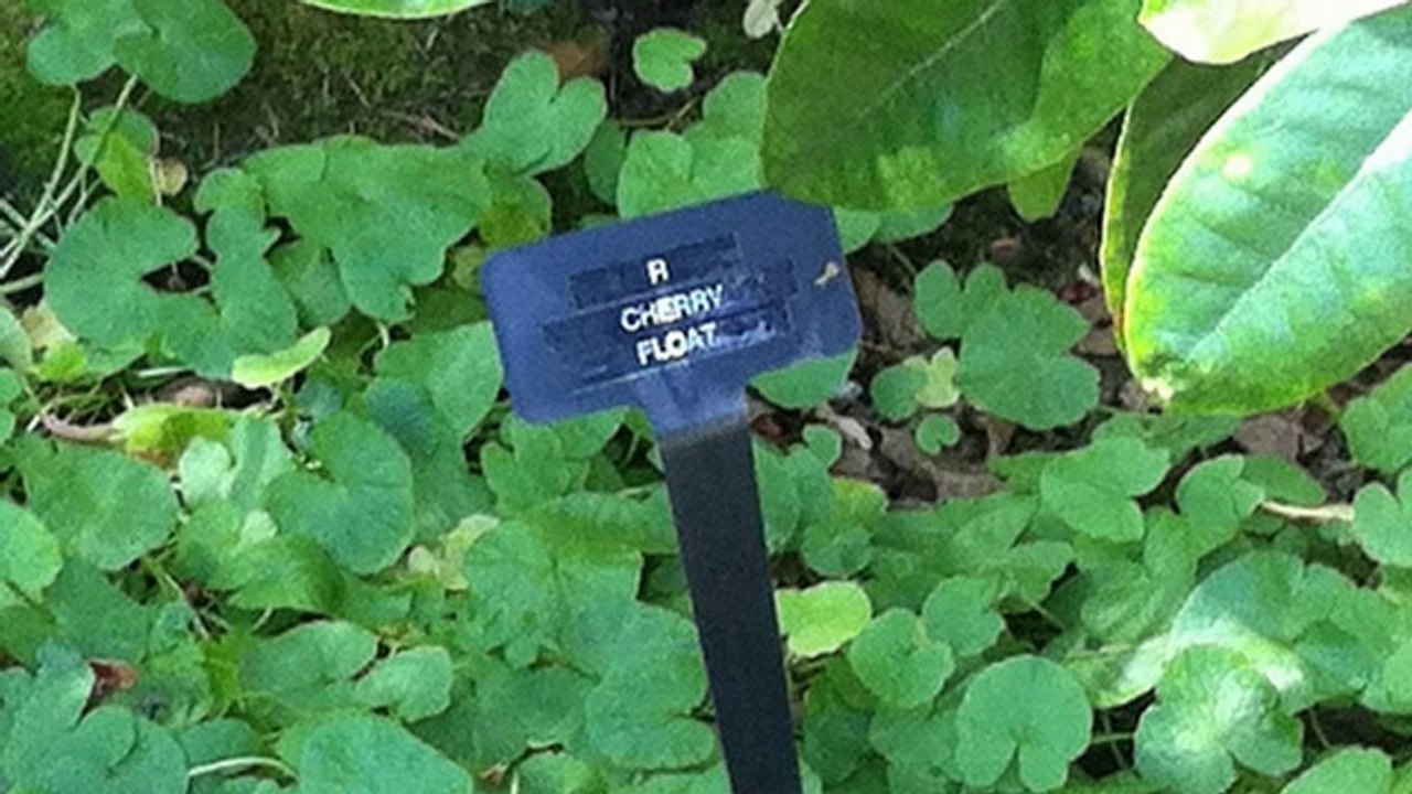 Free Newsgroup Servers