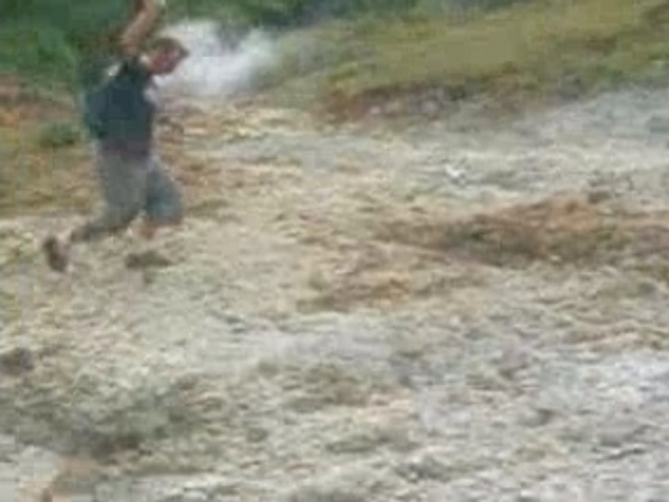 DOMINICA 2005