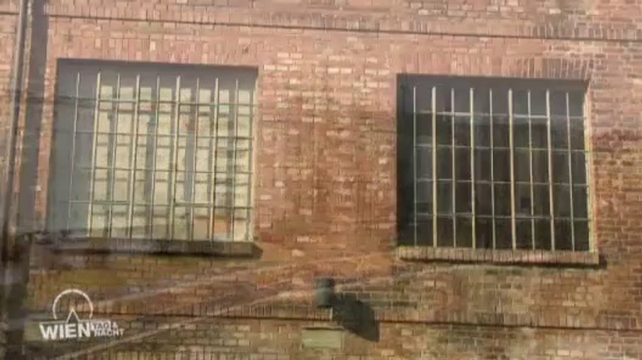 Wien - Tag & Nacht_part_003 folge55