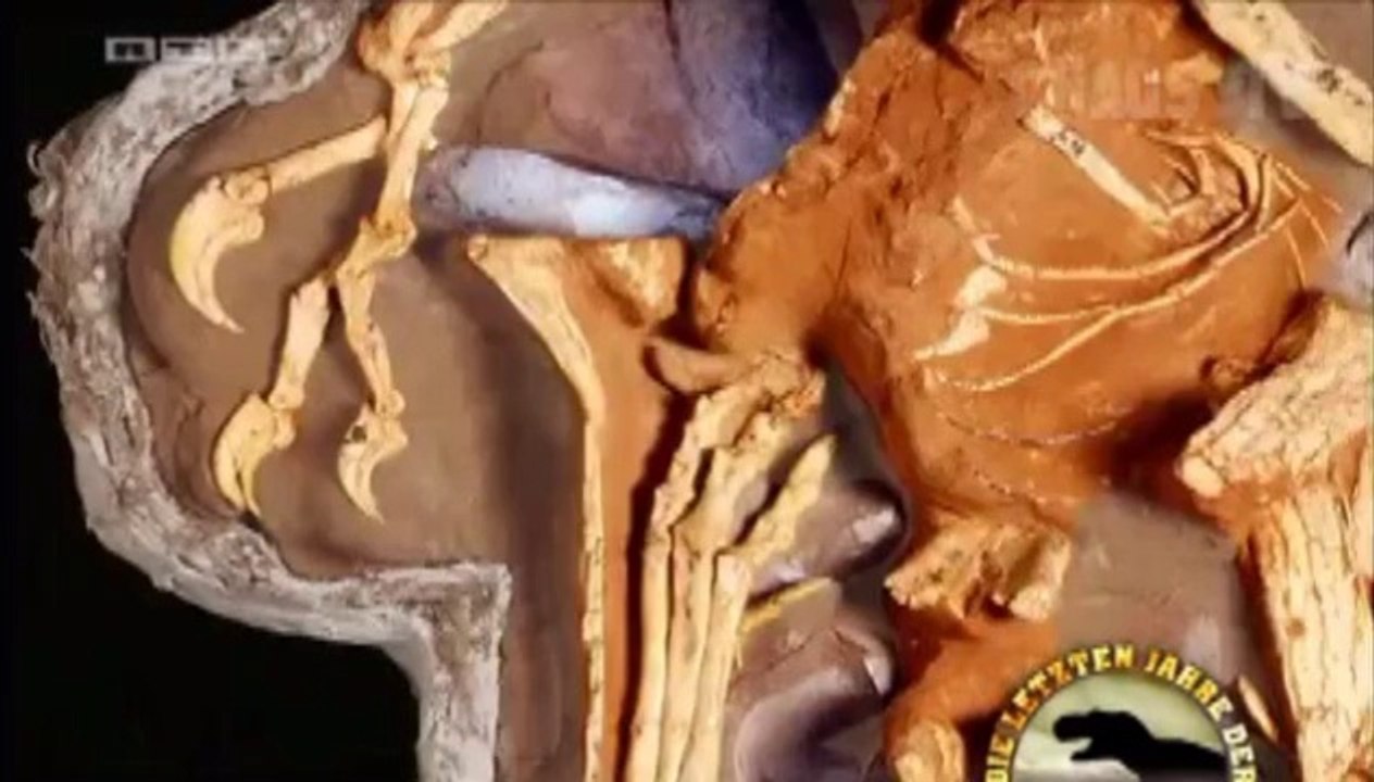 Vor 80 Millionen Jahren 2- Die letzten Jahre der Dinosaurier - Die Wüste Gobi