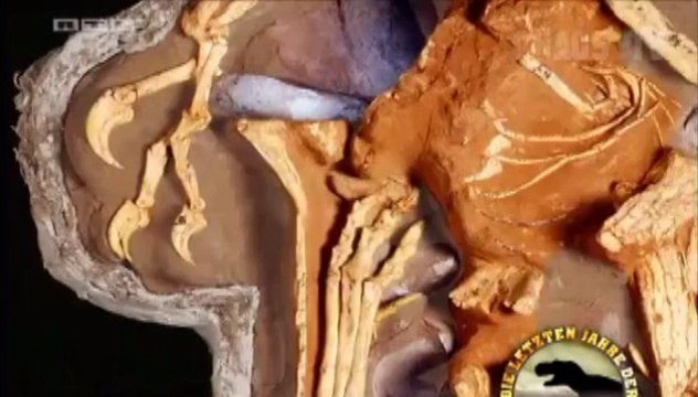 Vor 80 Millionen Jahren 2- Die letzten Jahre der Dinosaurier - Die Wüste Gobi