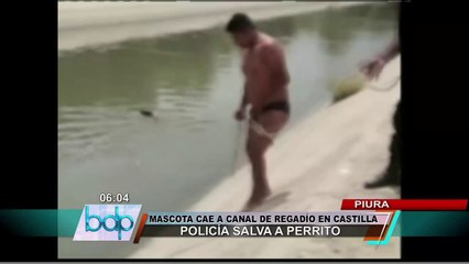 Policía se arriesga por salvar a perro caído en canal de regadío en Piura