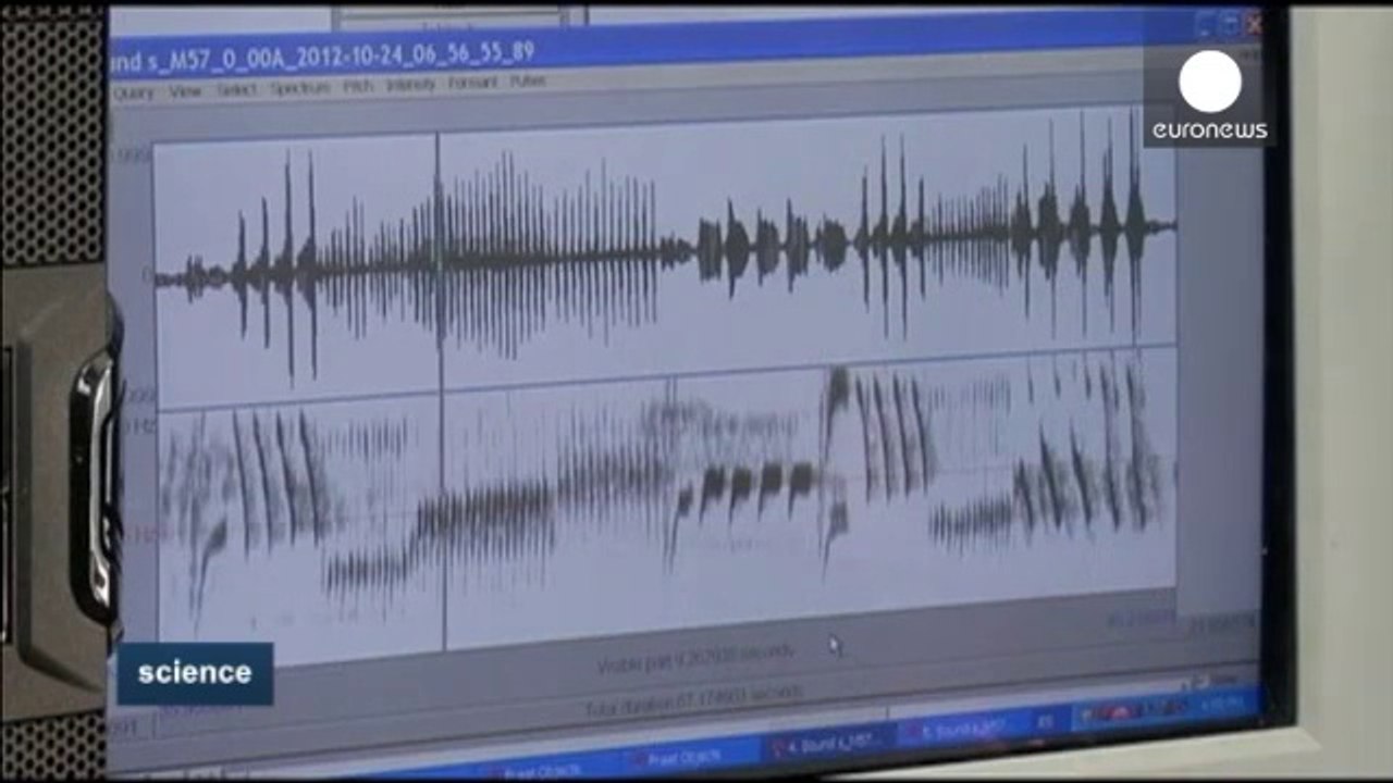 Neurociencia: El canto de los pajaros