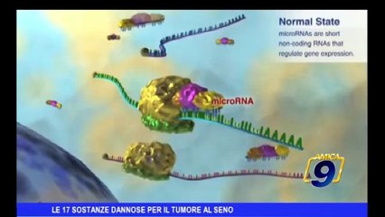 Le 17 sostanze dannose per il tumore al seno