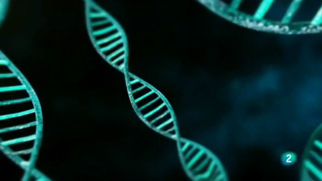 Cerebro autista: Mutaciones geneticas