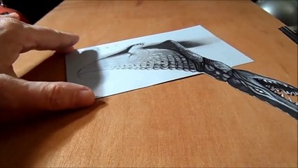 Trick Art_ Drawing 3D Crocodile_ Time Lapse