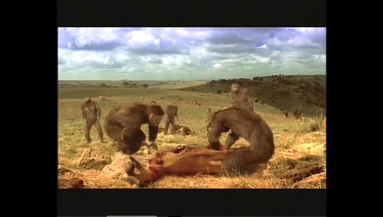 Geheimnis Mensch - 1v2 - Die Kinder des Feuers - 2005