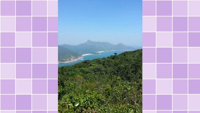 From Seller To Buyer: Shipping Details For Ebay Auctions