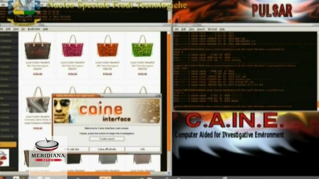 Hacker violano 53 siti web italiani, creavano vetrine online di Louis Vuitton falsi