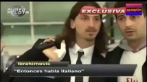 Sentite che dice IBRA...