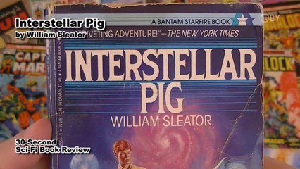 Interstellar Pig by William Sleator